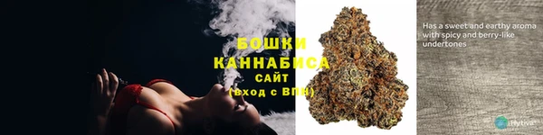 ПСИЛОЦИБИНОВЫЕ ГРИБЫ Алзамай