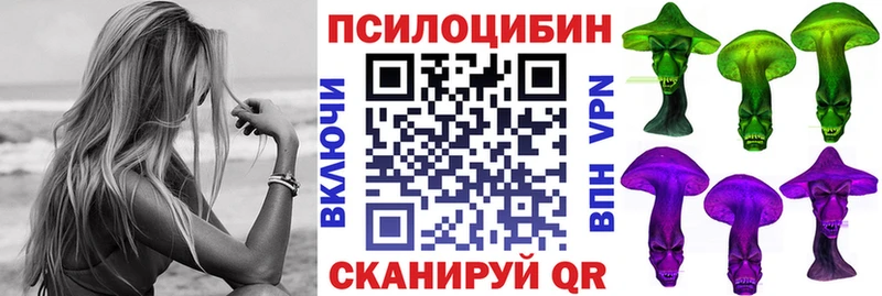 Галлюциногенные грибы Cubensis  Черкесск 