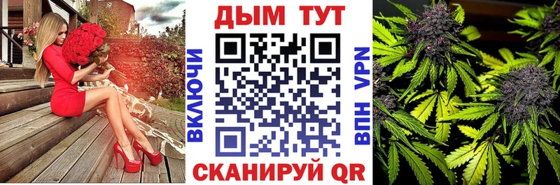 сколько стоит  Черкесск  Бошки марихуана гибрид 